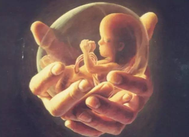 如何正确进行道教超度婴灵科仪?超度婴灵前该怎么准备?